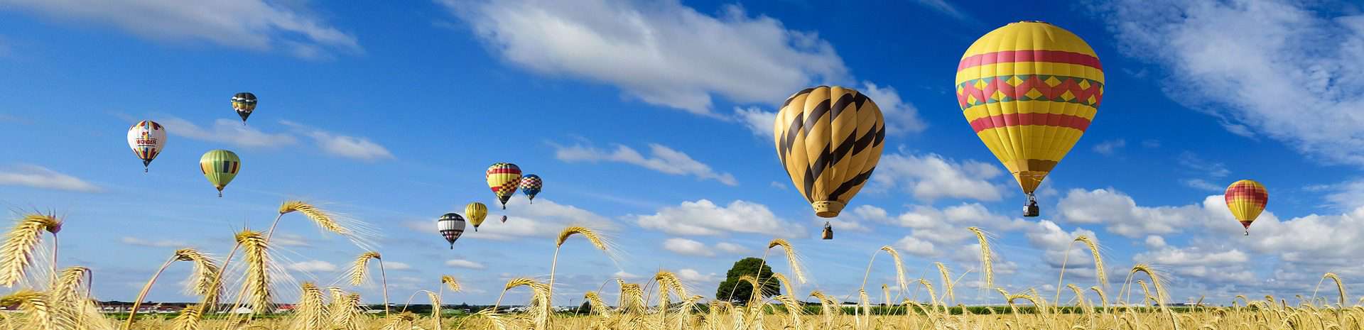 Balloons in Field